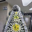 한독병원 | 경기 수원시 팔달구 한독병원장례식장 근조 기업 화환 야간 꽃배달