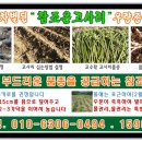 고사리민박 이미지