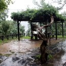 이승만별장 이미지