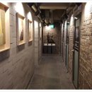 피그코인노래연습장 이미지