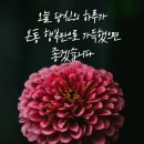 행복한아침 이미지