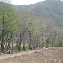 황토방펜션민박 이미지