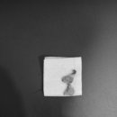 문정탑동물병원 이미지