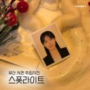 세븐일레븐 부산서면대로점 | 부산 서면 &lt;스폿라이트 서면점&gt; 취업사진 촬영 후기 및 예약 팁