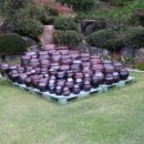 솔솔바람 이미지