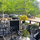 자연산회통영붕장어 이미지