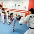반송월드태권도 이미지