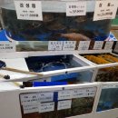 봄봄수산 이미지