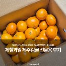 제주로얄유통 | 제주공항 서귀포길 귤창고 : 유라조생 노지감귤 로얄과 3kg 후기