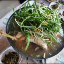 황금토종닭 이미지