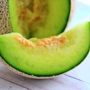 일번피티 이미지