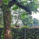 네이처한길 이미지