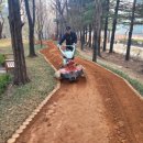 문원도서관 | [부코노미] 부린이 일기 - 과천 산책로 추천, 정보과학 도서관 옆, 숲속 황톳길!