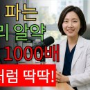 B12 이미지