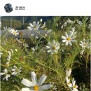스테이 일목 네이버블로그