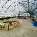 쌍둥농장 이미지