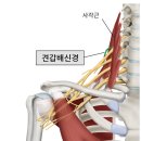 반석한의원 이미지