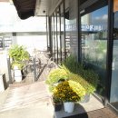 초콜릿키즈 이미지