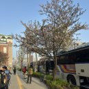 광석정비 | [100대 명산 #25, 경북 봉화 청량산]처음으로 이용해본 등산버스로 다녀온 청량산(블랙야크 100대명산...