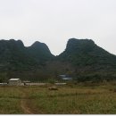 영조농장 이미지