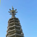 신흥사(제48호) | 평창 가볼만한곳 오대산 월정사 국가유산 스탬프 위치 석탄일 방문 솔직후기