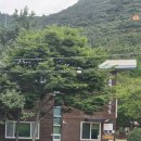 휴양림 입구 ~ 흑석산자연휴양림 이미지