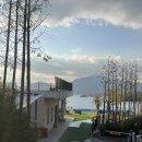 비토 | 경남 비토섬 사천글램핑 바베큐포함 내돈내산 비토노을숲 A동 후기