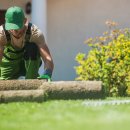 조경기능사 이미지