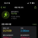 까사디차차
