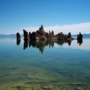 켈리포니아 이미지