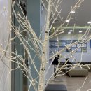 영통아이언소아청소년과의원 이미지