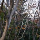 부일산업주식회사 이미지