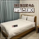 해밀스테이 | 대구 동성로 가성비 숙소 해밀 스테이 내돈내산 깨끗해서 좋아