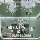 빵실하개 이미지