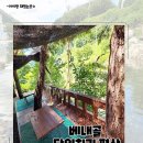 파래소 가든 | 부산근교 아이랑 당일치기 평상 수영장 계곡 물놀이