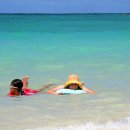 지상낙원 이미지