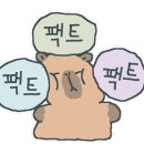 이피스튜디오 이미지