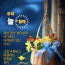 산대 Daum카페