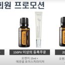 스프루스업 이미지