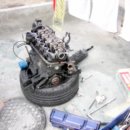 알파오토밋션 이미지