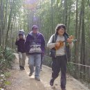 대숲향기 이미지