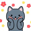 캣츠나비 이미지