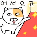하이하이스튜디오 이미지