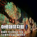 오션스미디어 | 비 오는 날 가기 좋은 강릉 실내 명소 | 아르떼뮤지엄
