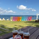 올레애견펜션 이미지