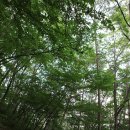 명대계곡 화장실 | (오토캠핑) 오서산자연휴양림 - 우중캠핑 (2011년7월2일 ~ 3일)