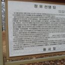 정유선생묘 이미지