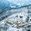 동강전망자연휴양림 이미지