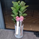 유니바움 | 231227~240126 결혼 벌써 1년 초록유니 일상