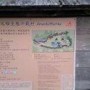 마스터디디 이미지